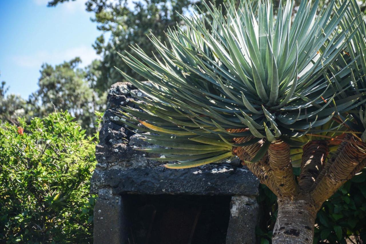 Quinta dos Frutos Santa Cruz da Graciosa Exterior foto